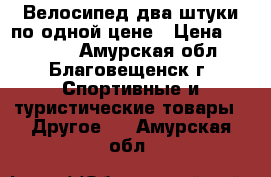 Велосипед два штуки по одной цене › Цена ­ 19 000 - Амурская обл., Благовещенск г. Спортивные и туристические товары » Другое   . Амурская обл.